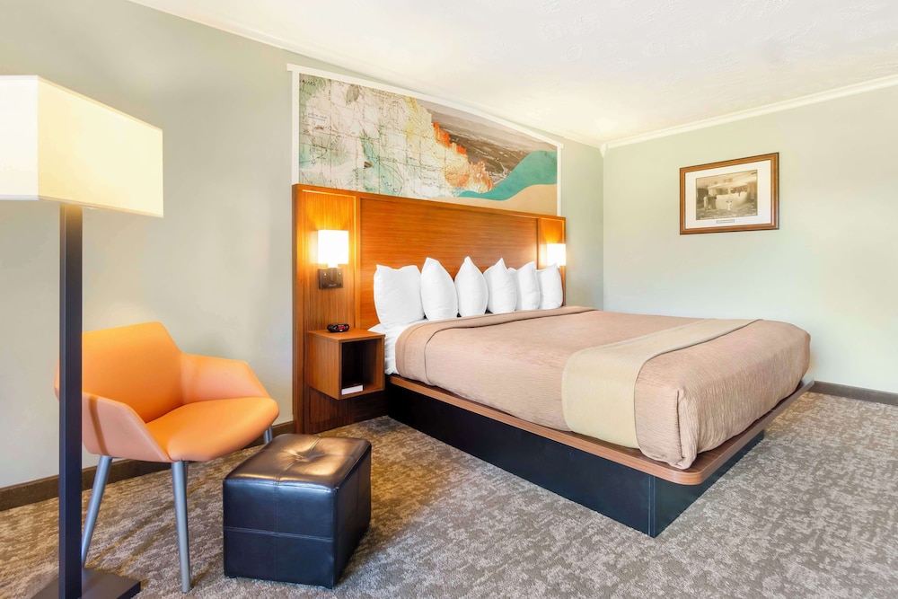 Standard Room, 1 King Bed, Non Smoking, Refrigerator & Microwave