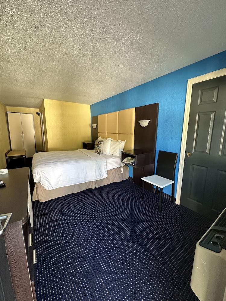 Deluxe Cabin, 1 Queen Bed photo 2