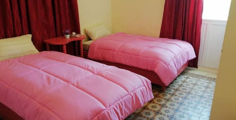 Twin Room photo 2
