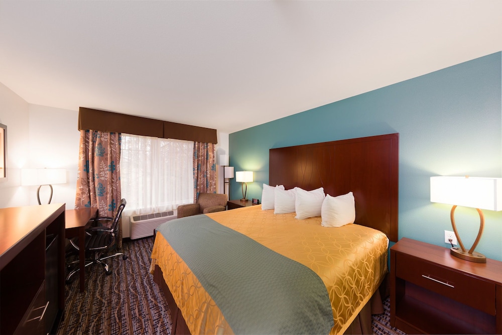 Deluxe Suite, 1 King Bed, Refrigerator & Microwave (Non Pet Friendly) - Photo 9