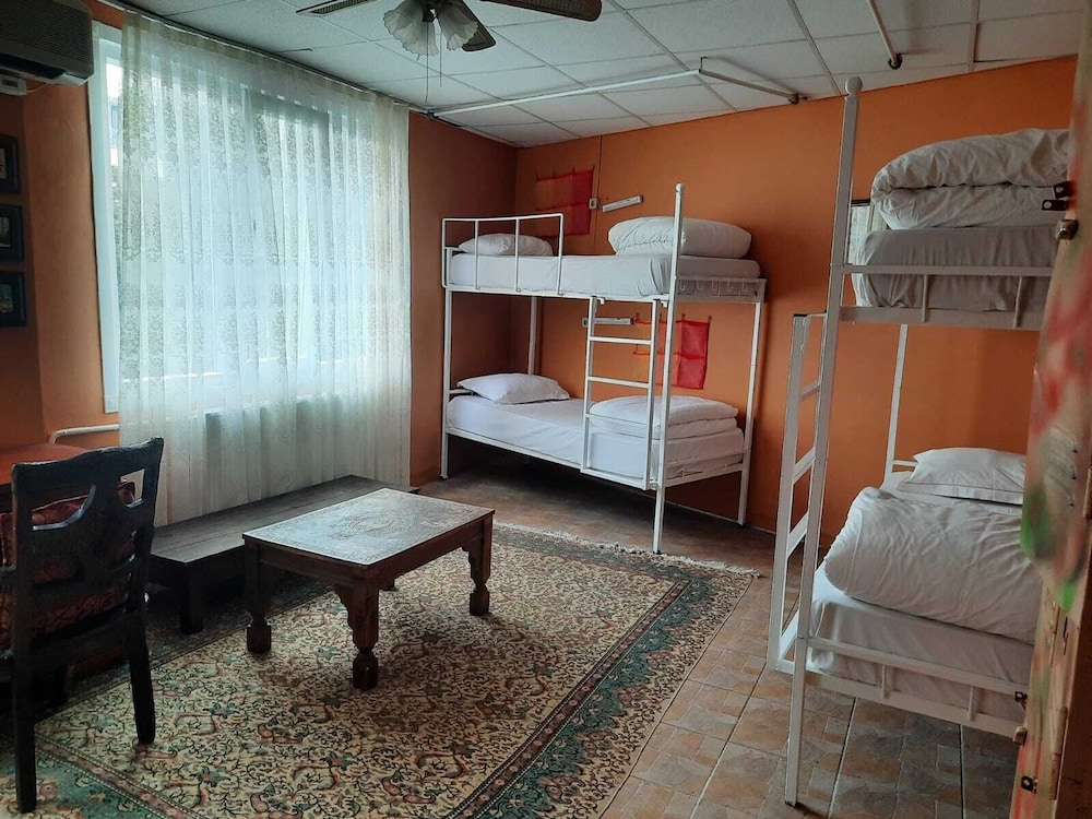 6 Bed FEMALE Dorm with ensuite room photo 1