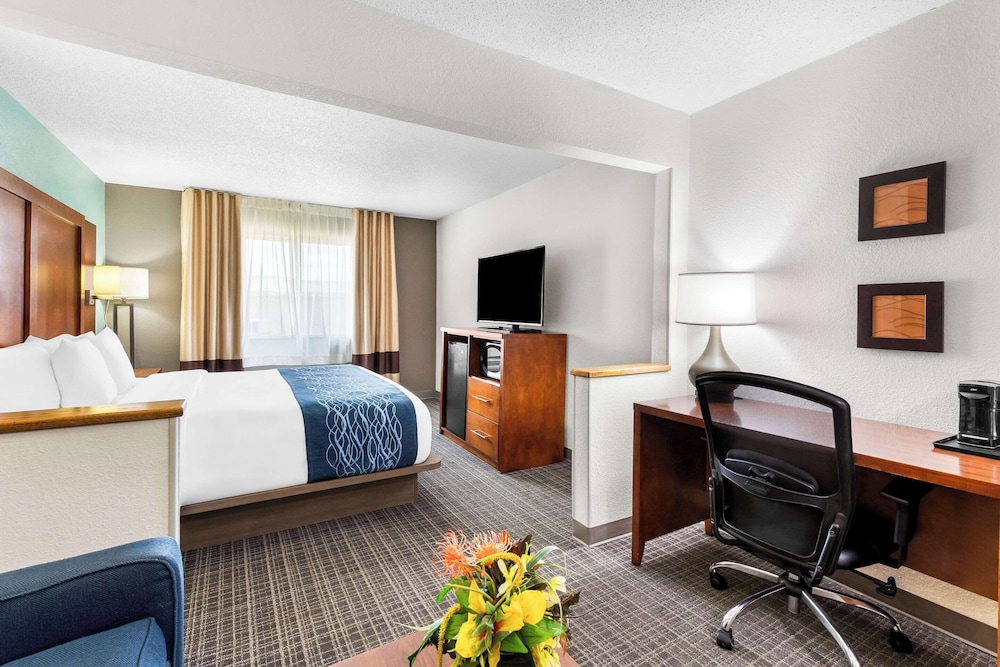 Business Suite, 1 King Bed with Sofa bed, Non Smoking (Upgrade) - Photo 5
