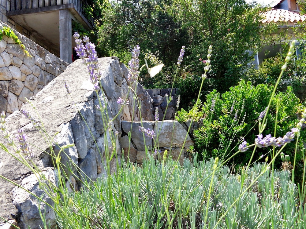 Studio, Sea View photo 3