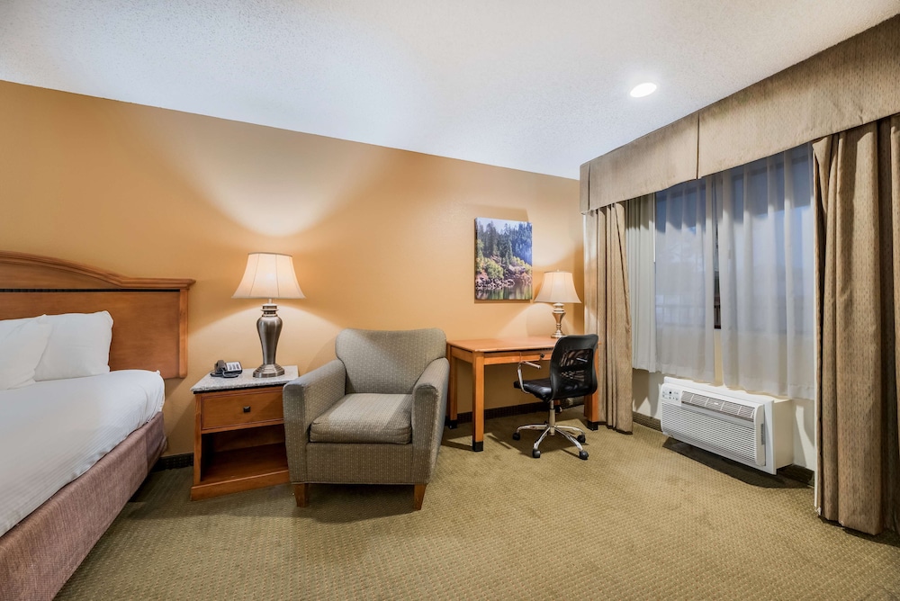 Executive Room, 1 King Bed, Non Smoking, Refrigerator & Microwave photo 1