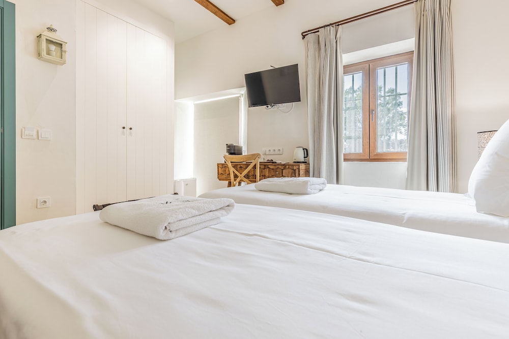 Studio Suite, Terrace photo 2