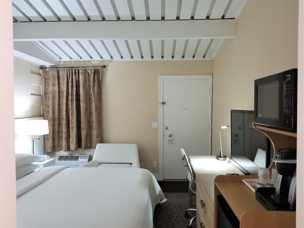 Premium Room, 1 King Bed, Non Smoking photo 2