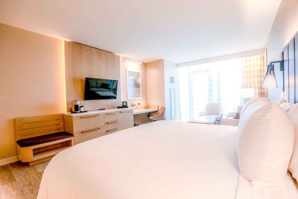 Junior King Suite photo 1