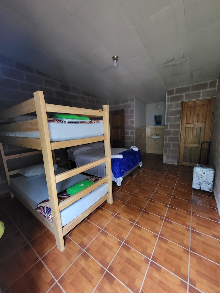 Basic Shared Dormitory photo 1