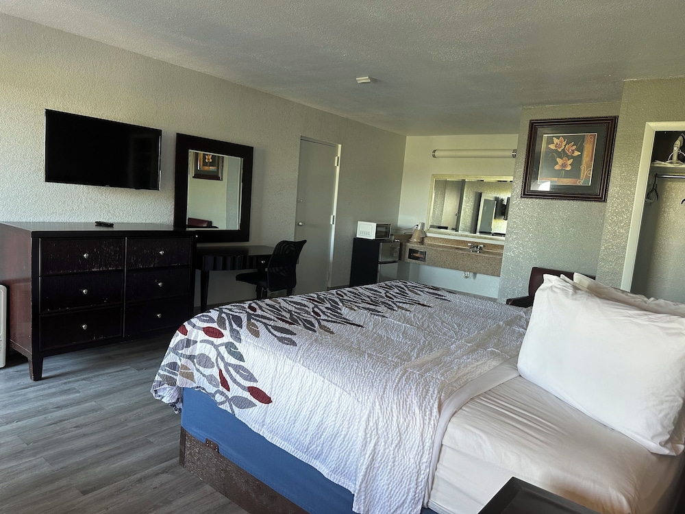 Standard Single Room, 1 King Bed