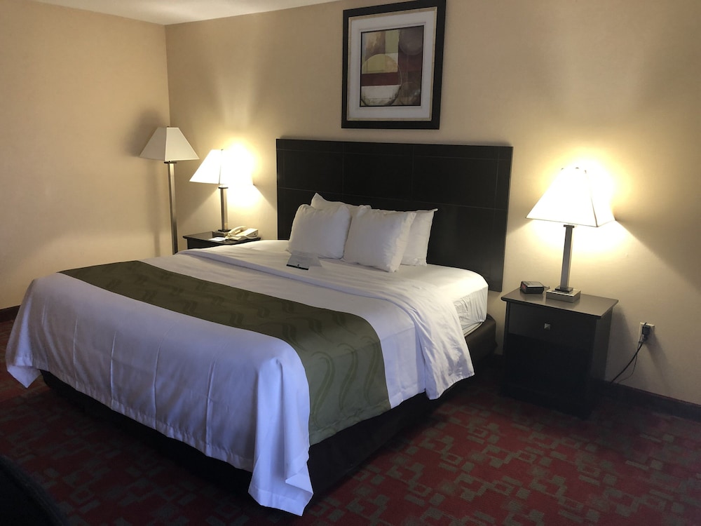 Room, 1 King Bed, Non Smoking, Pet Friendly photo 1