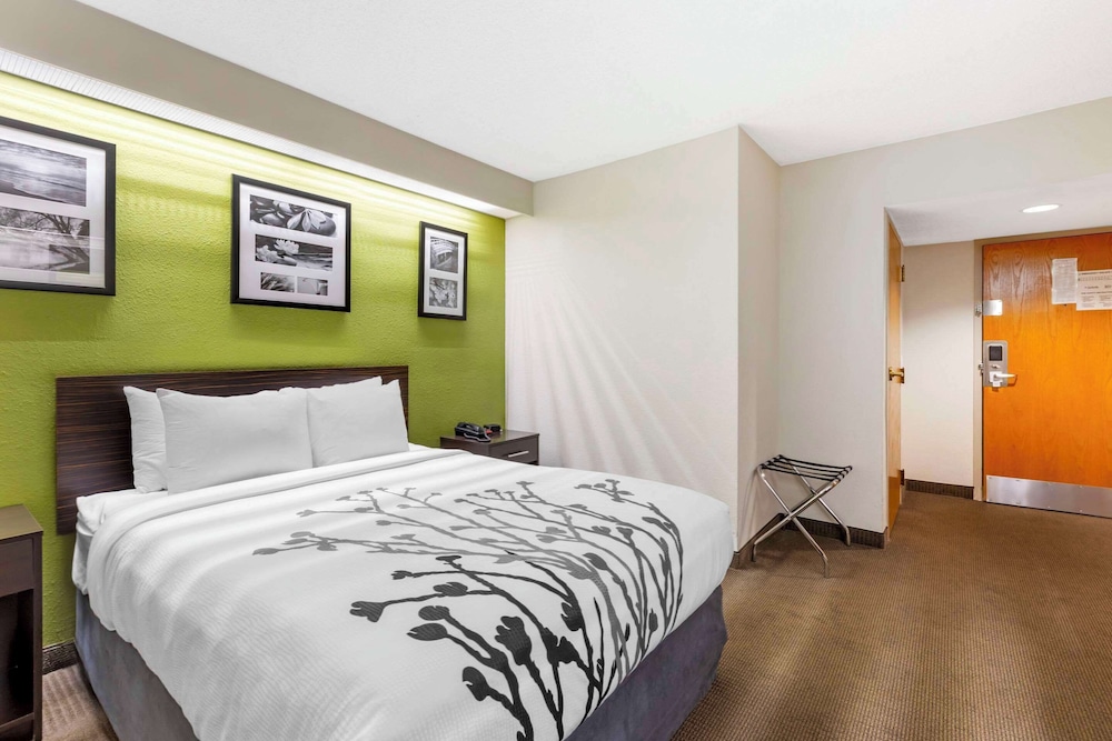 Room, 1 Queen Bed, Accessible, Non Smoking (Mobility, Roll-In Shower) - Photo 4