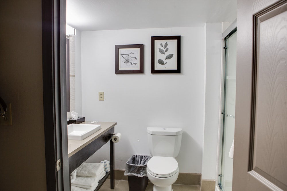 Suite, 1 Bedroom, Non Smoking - Photo 8