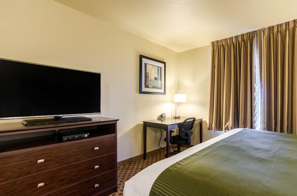 Standard Suite, 1 King Bed, Non Smoking photo 3
