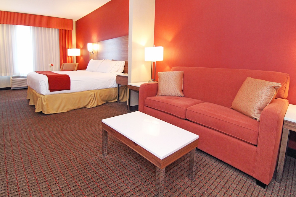 Suite, 1 King Bed with Sofa bed