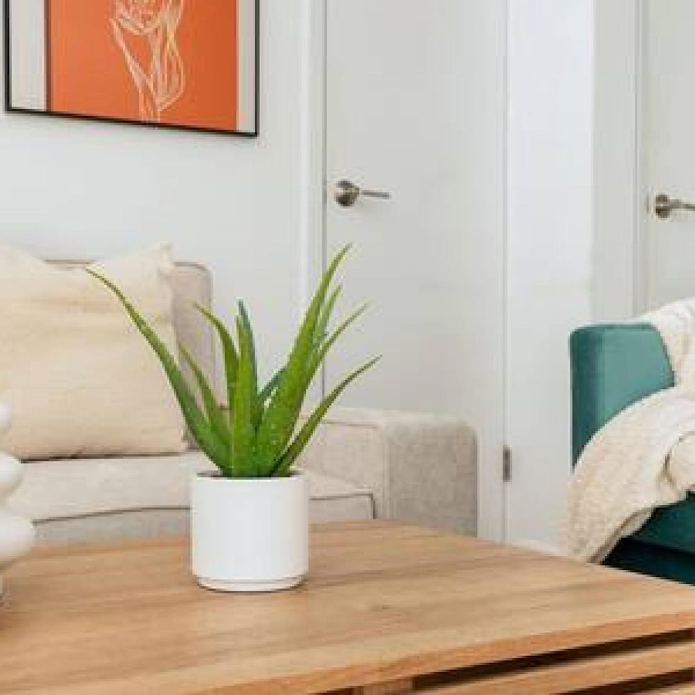 Apartment photo 3