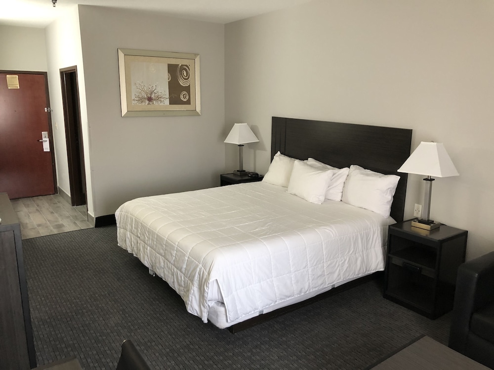 Standard Single Room, 1 King Bed photo 2
