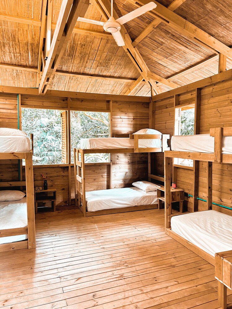 Standard Room, Mountain View photo 2