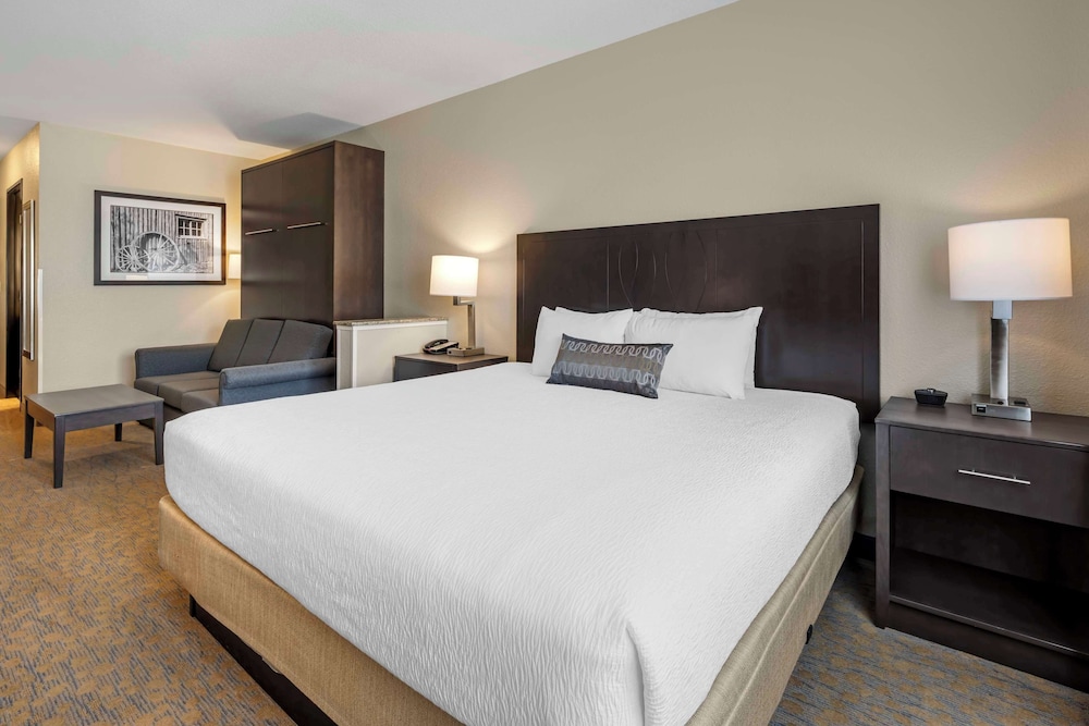 Suite, 1 King Bed, Non Smoking, Refrigerator & Microwave - Photo 1