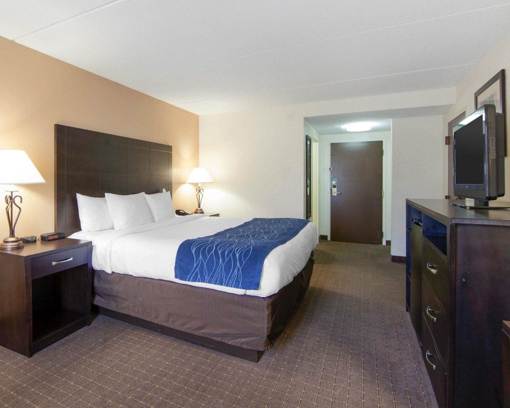 Suite, 1 King Bed with Sofa bed, Non Smoking - Photo 4