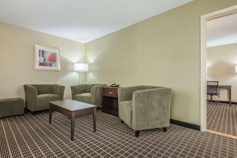 living room with two couches and a coffee table