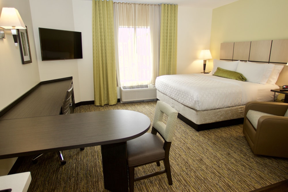 Studio Suite, 1 King Bed photo 2