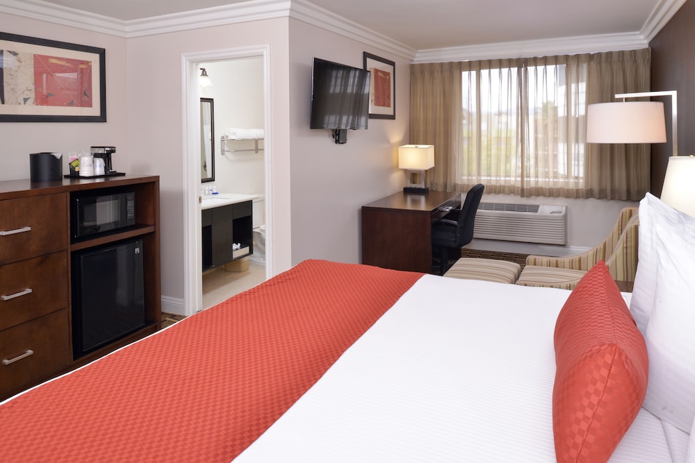 Standard Room, 1 King Bed, Non Smoking, Refrigerator & Microwave