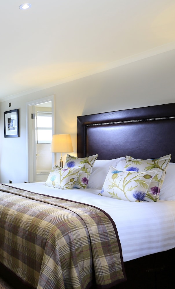 Superior Room, 1 King Bed photo 3