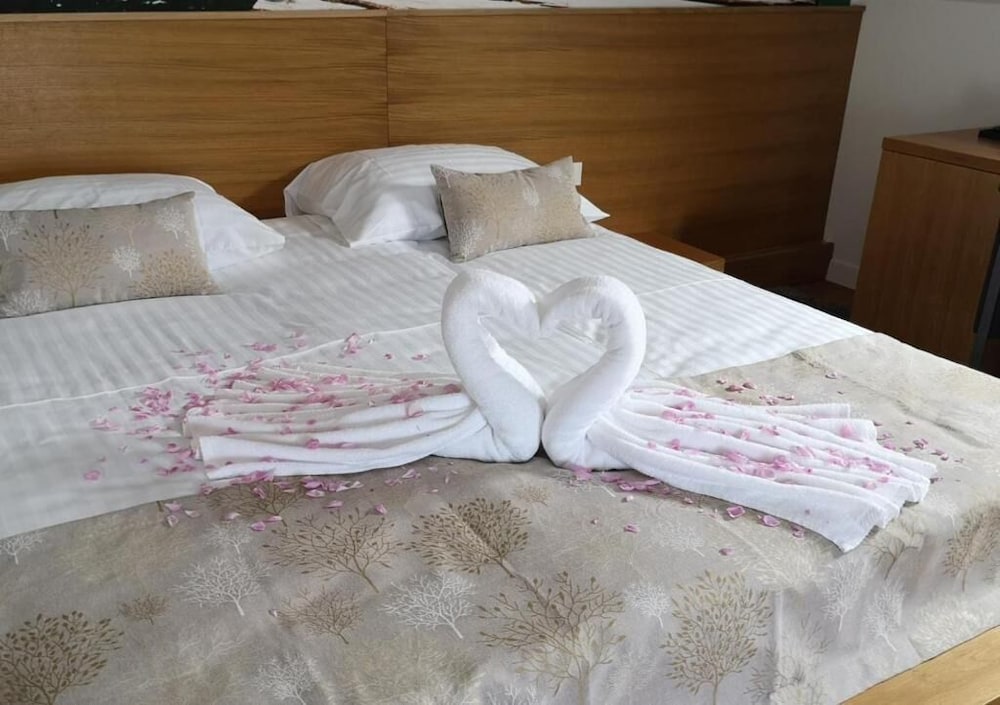 Comfort Double or Twin Room photo 2