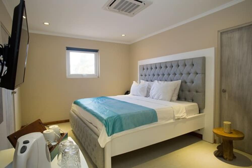 Senior Double Room, 1 King Bed