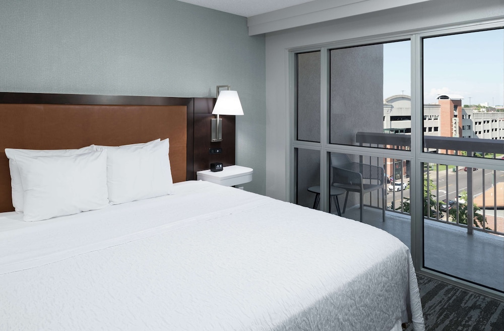 Suite, 1 King Bed with Sofa bed, Kitchen, Park View (Balcony) - Photo 4