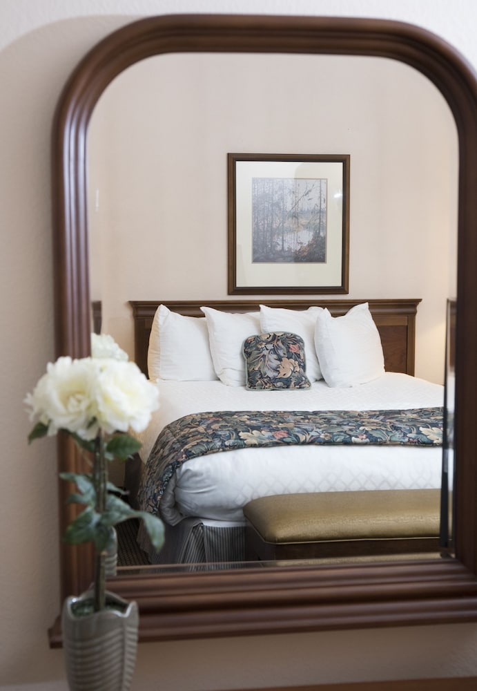 Suite, 1 Queen Bed