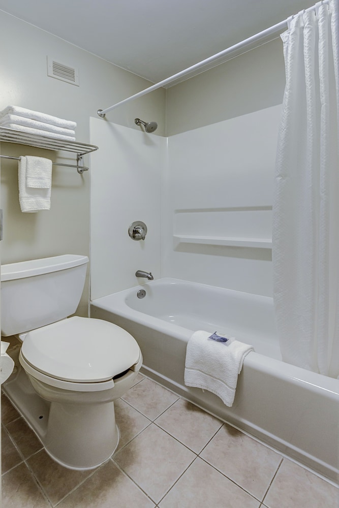 Studio Suite, Multiple Beds, Kitchenette - Photo 6