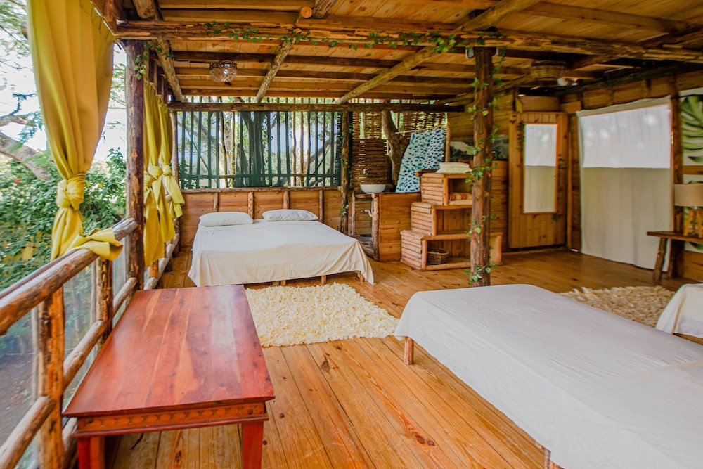 Traditional Tree House photo 2