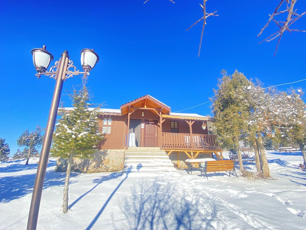 Club Chalet photo 2