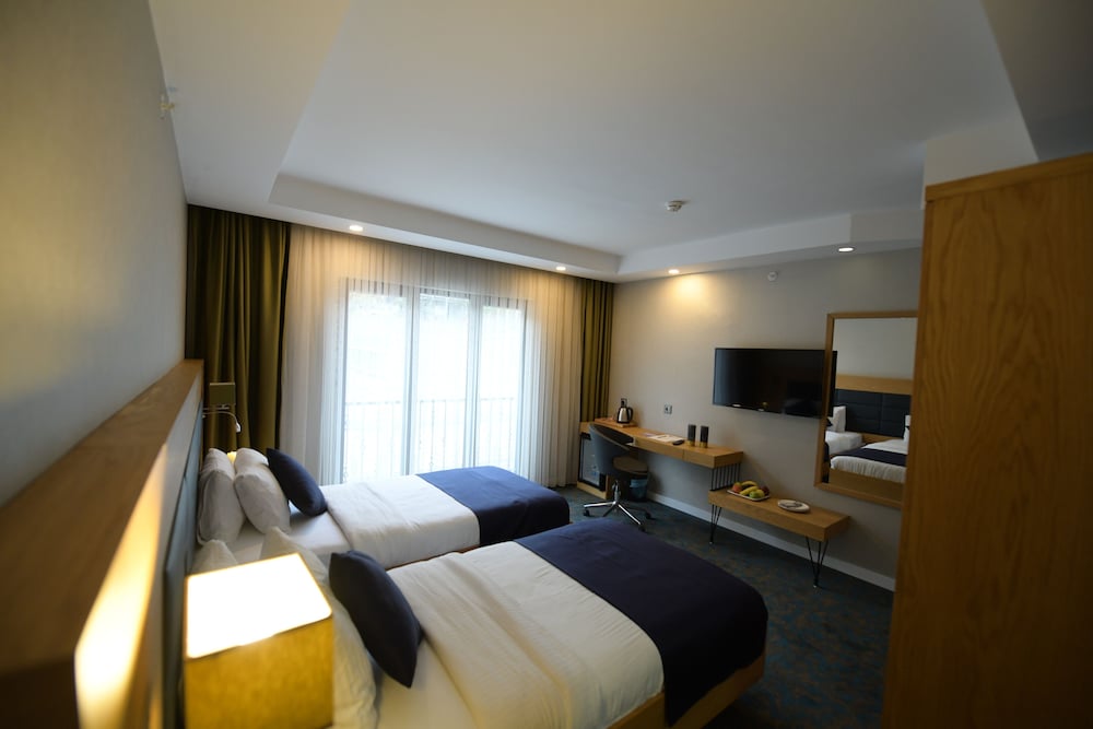 Deluxe Twin Room, Mountain View