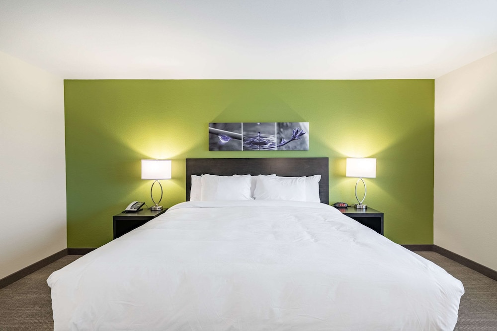 Room, 1 King Bed, Accessible, Non Smoking (Accessible Tub) - Photo 4