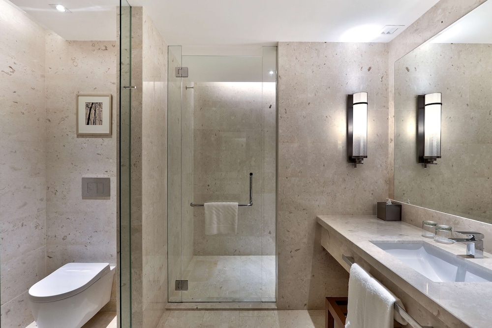 Room, 1 King Bed, Roll-in Shower, Allergy Friendly photo 2