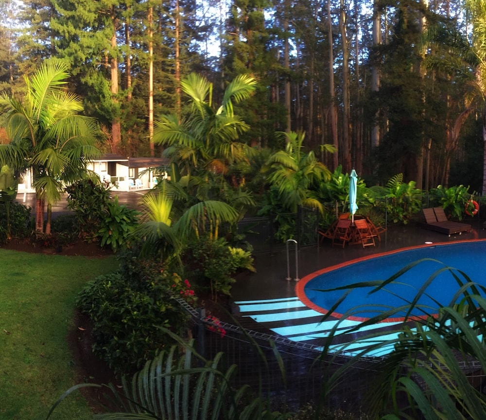Executive Studio Suite, 1 King Bed, Pool View photo 3