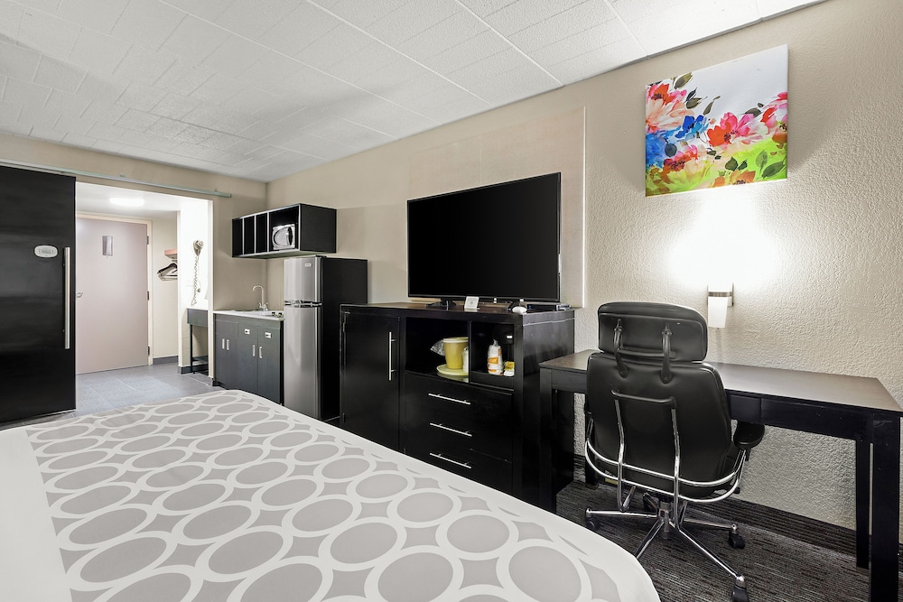 Room, 1 King Bed, Non Smoking - Photo 4
