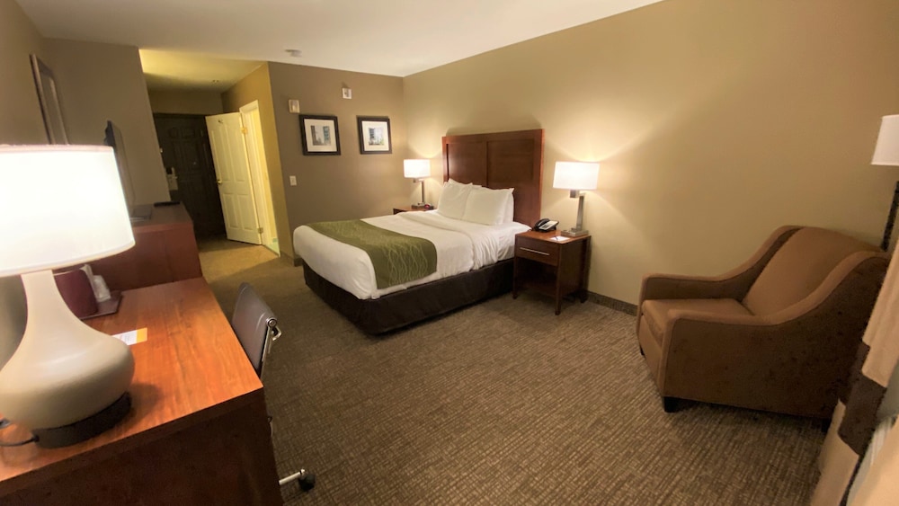 Room, 1 Queen Bed, Accessible, Non Smoking (Roll-In Shower) - Photo 2