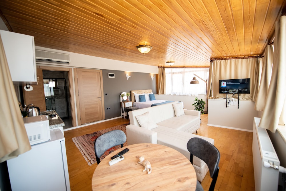 Panoramic Studio Suite photo 1