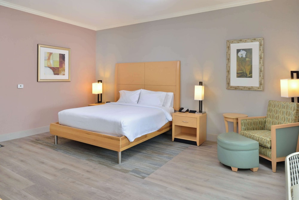 Standard Room, 1 King Bed, Accessible (Mobility & Hearing, Roll-in Shower) - Photo 1