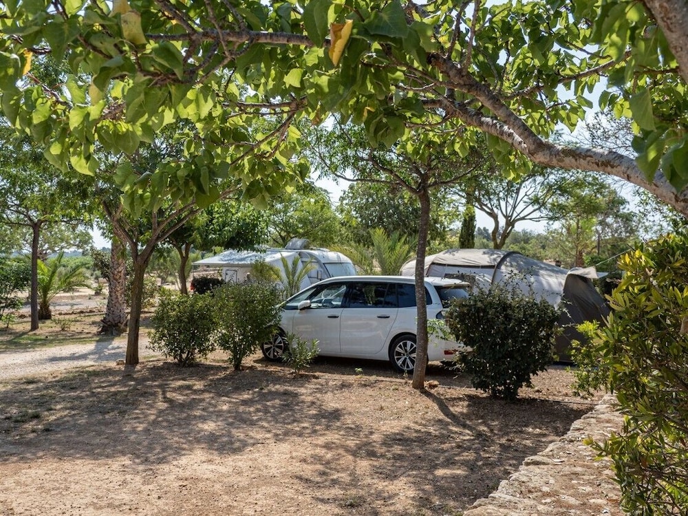 Plot (Tent or Caravan required) photo 2