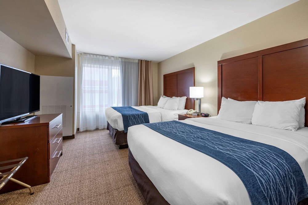 Studio Suite, Multiple Beds, Non Smoking - Photo 2