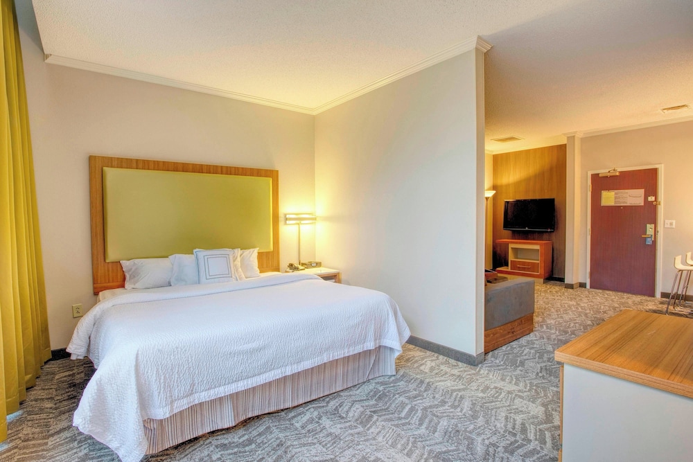 Suite, 1 King Bed - Photo 10