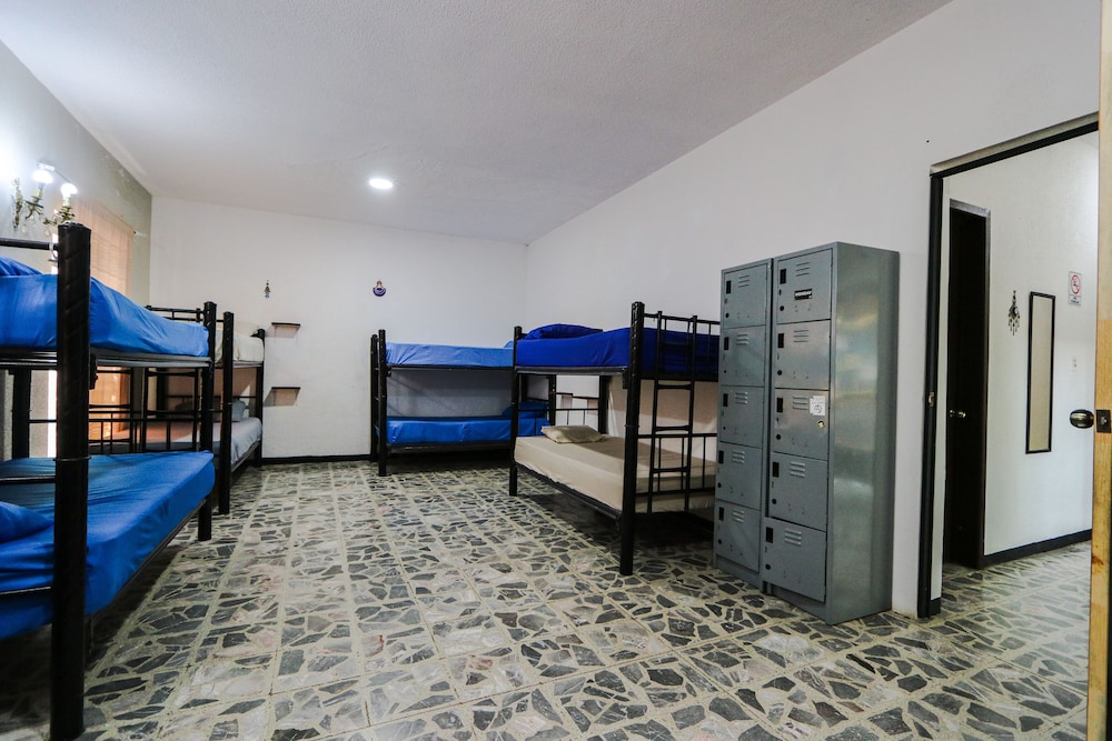 Basic Shared Dormitory, Garden View photo 1
