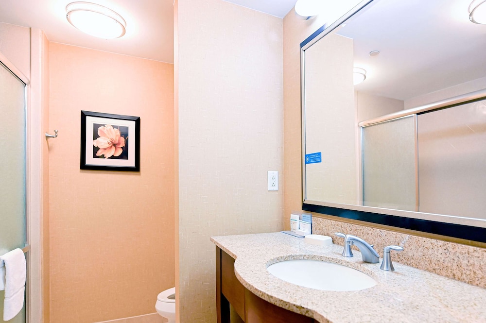 Suite, 1 King Bed - Photo 4