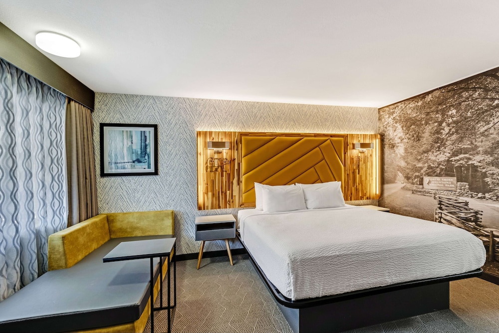 Room, 1 King Bed, Accessible, Non Smoking (Mobility, Roll-In Shower) - Photo 5
