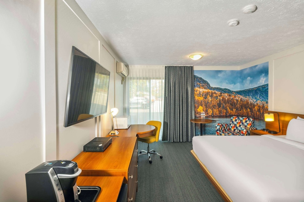 Room, 1 King Bed, Accessible, Non Smoking