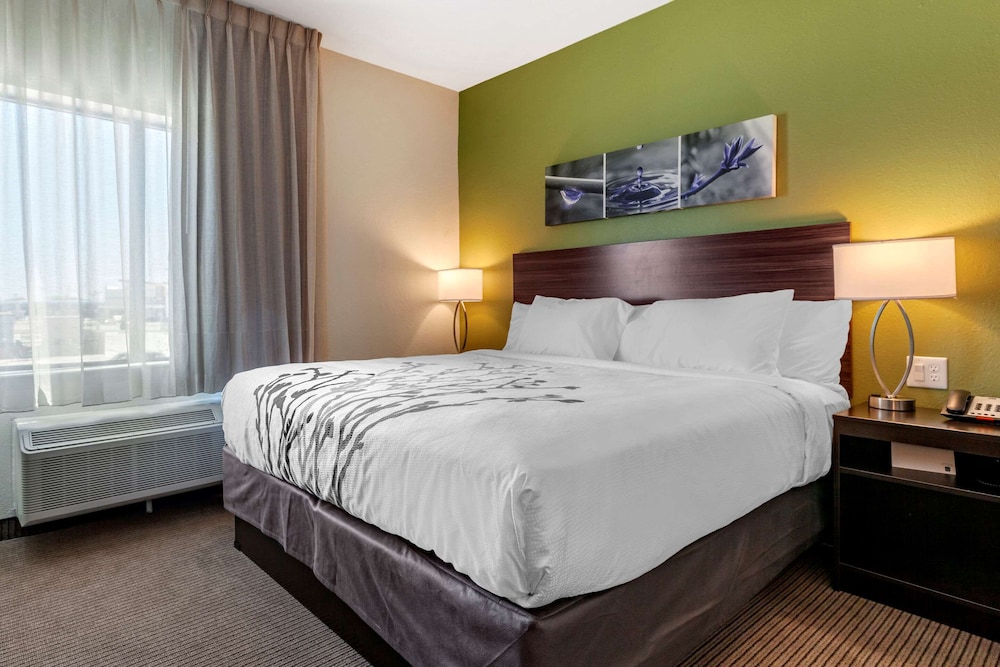 Suite, 1 King Bed with Sofa bed, Non Smoking (Efficiency) - Photo 4